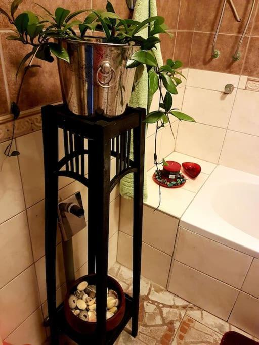 Zelena Oaza Appartement Skrljevo Buitenkant foto